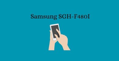 Samsung SGH-F480I